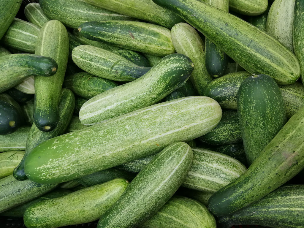 bunch of cucumbers