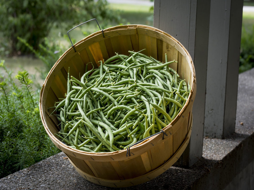 Green beans in a wicker basket.