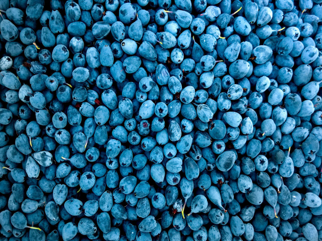 blueberries