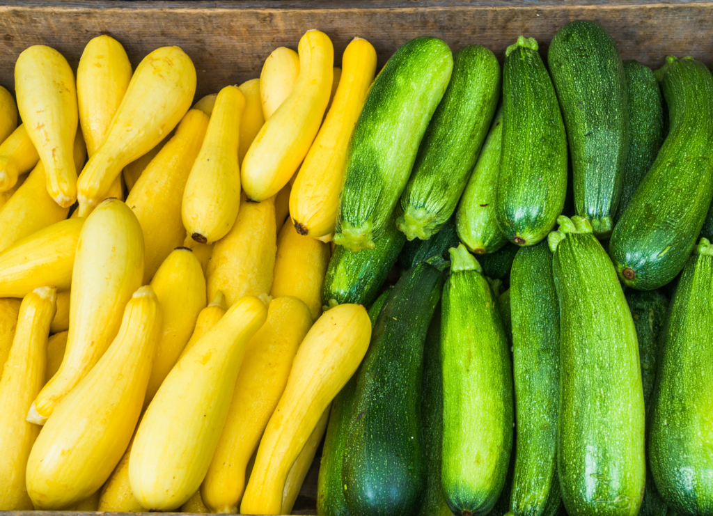 Summer Squash